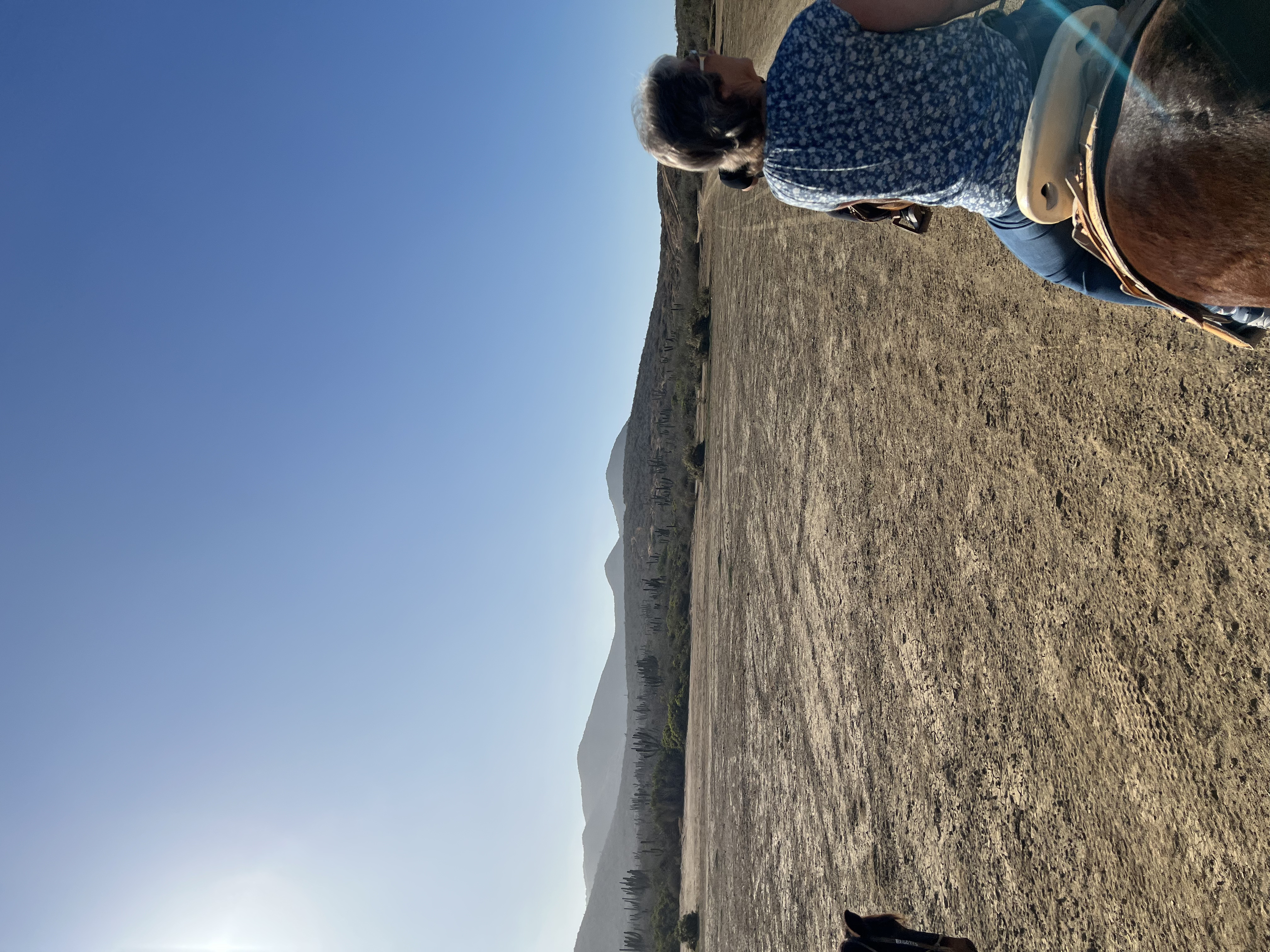 ./2024/13 - Cabo/IMG_4376.jpg